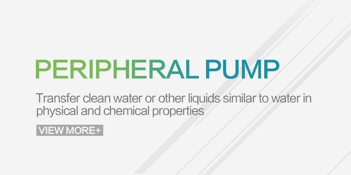 Leo - Peripharal Pump